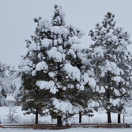 River Falls Lodging -Black Hills, South Dakota هوت سبرنغز المظهر الخارجي الصورة