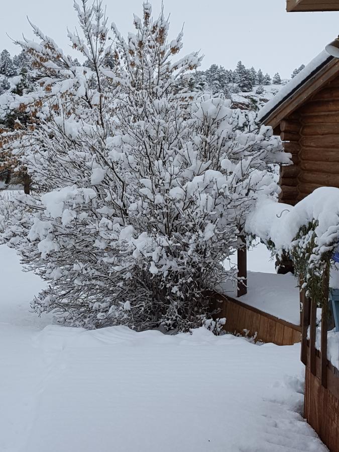 River Falls Lodging -Black Hills, South Dakota هوت سبرنغز المظهر الخارجي الصورة